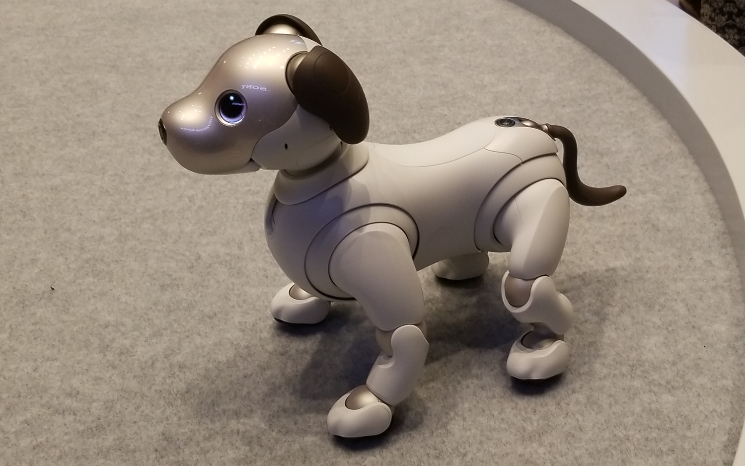 Sony's robot dog Aibo is headed to the US for a cool $2,899 - The