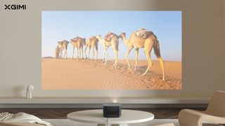 XGIMI HORIZON Pro projecting a desert scene onto a wall