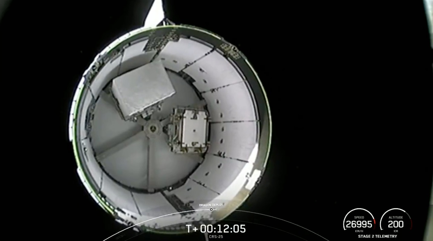Une capsule SpaceX Dragon se sépare de sa fusée Falcon 9 après son lancement lors de la mission cargo CRS-25 vers la Station spatiale internationale le 14 juillet 2022.