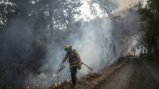 firefighter prescribes burns to woodland