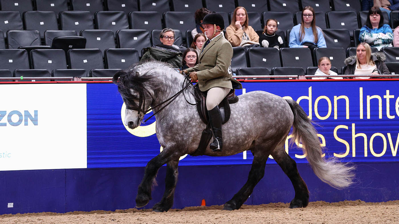 Dunedin Iolare_LIHS_PN24_183153