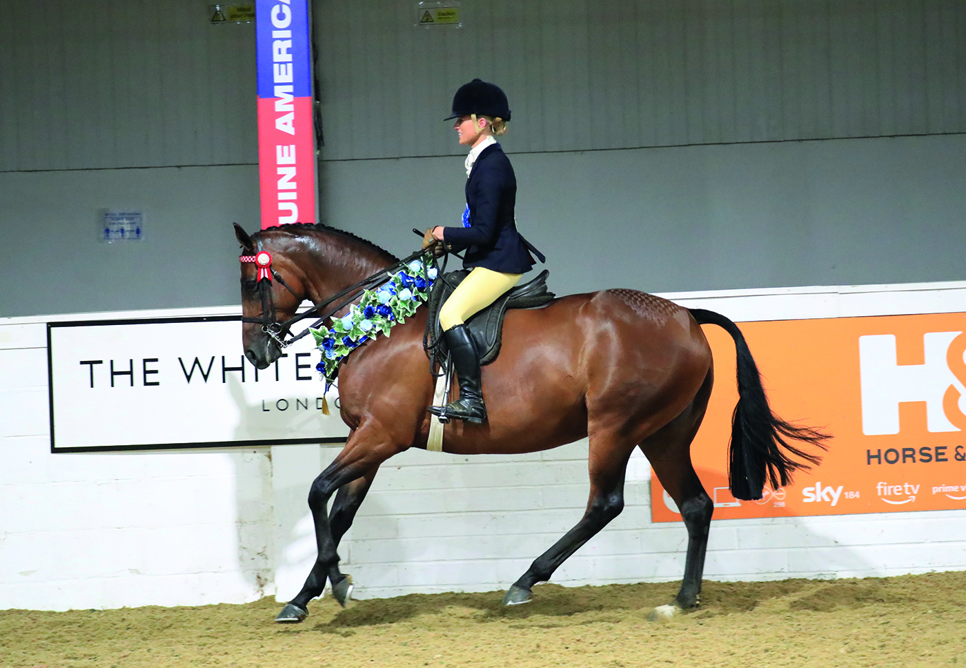 shw_bsps.whalton_a_bit_special_equinational_57099194