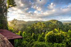 Stunning landscape of Mayan Rainforest in Belize above the tree canopy with dramatic blue sky.