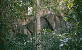 Abandoned concrete building overgrown by the forest