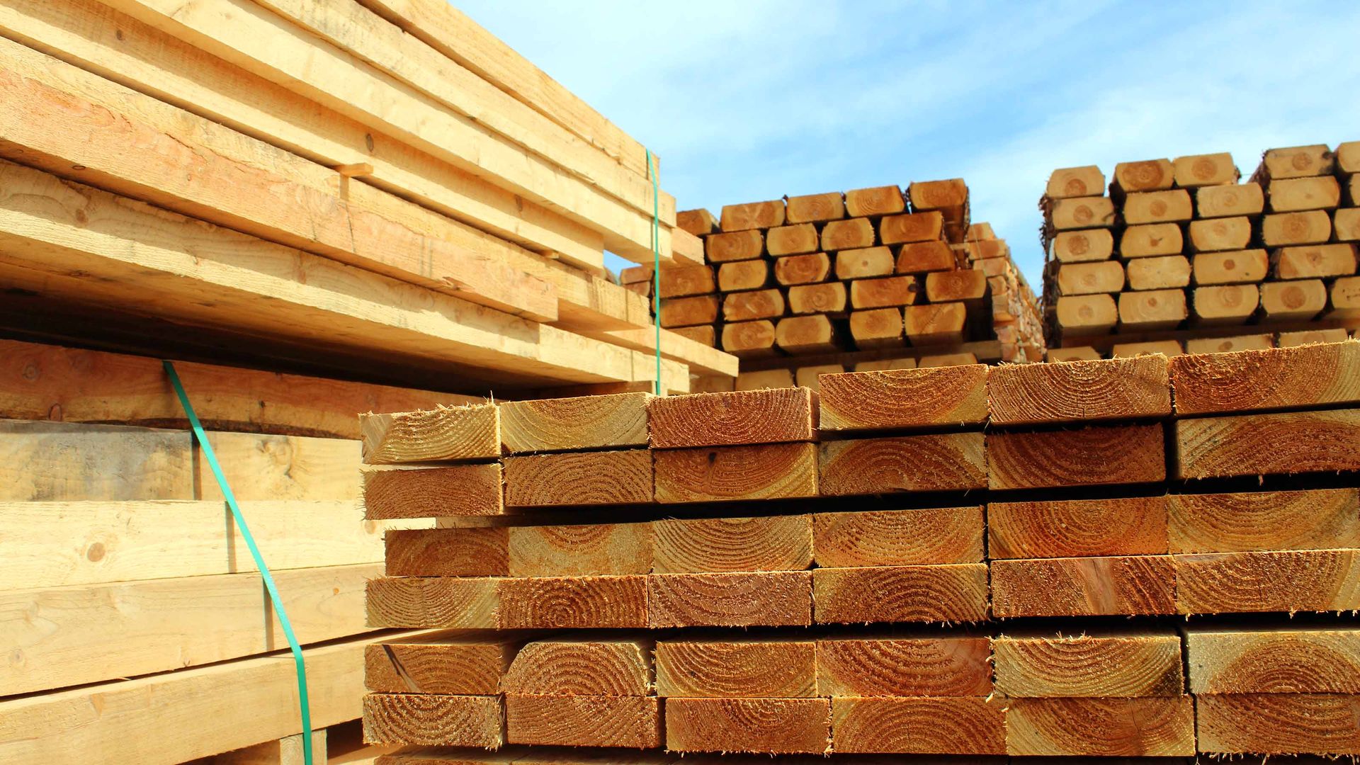 7 Top Lumber Stocks to Play Timber Mania Kiplinger