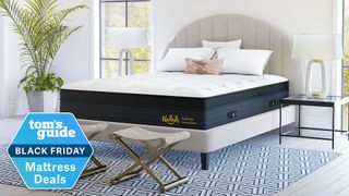 The Nolah Evolution mattress in a bedroom with a Tom's Guide Black Friday Deals badge overlaid