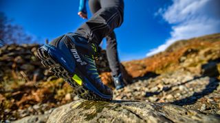 hiking boots: Inov-8 Roclite G 345 GTX