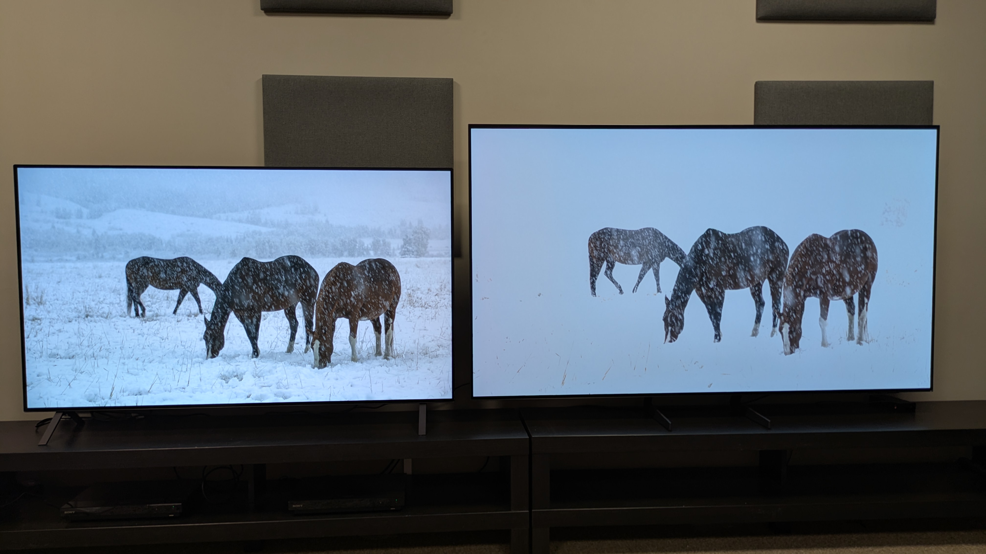 LG B5 in Dolby Vision picture mode and Samsung S85F in HDR10 picture mode with horses in snow on screen