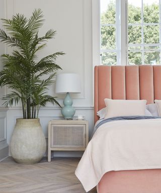 A gray bedroom with a tall plant, a nightstand, a pink bed, and a gray wall with a large window