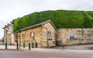 Bathurst Estate hedge