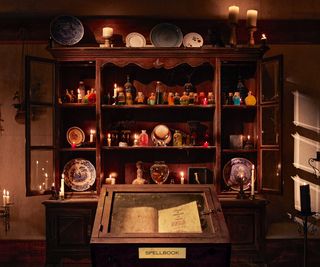Interior of the Hocus Pocus Airbnb - book shelf with potions and a spellbook in a case