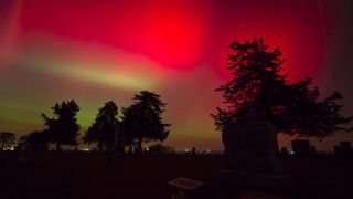several trees are silhouetted against a blood-red aurora shining in the sky.