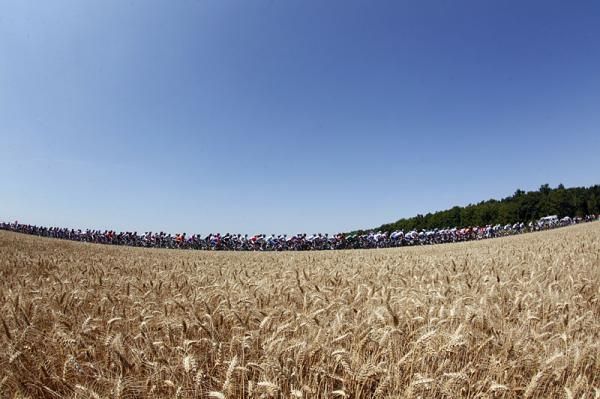 The peloton in the Tour de France