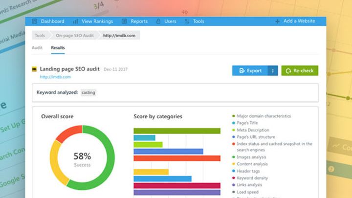 SEO audit analytics page with donut chart and bar graph