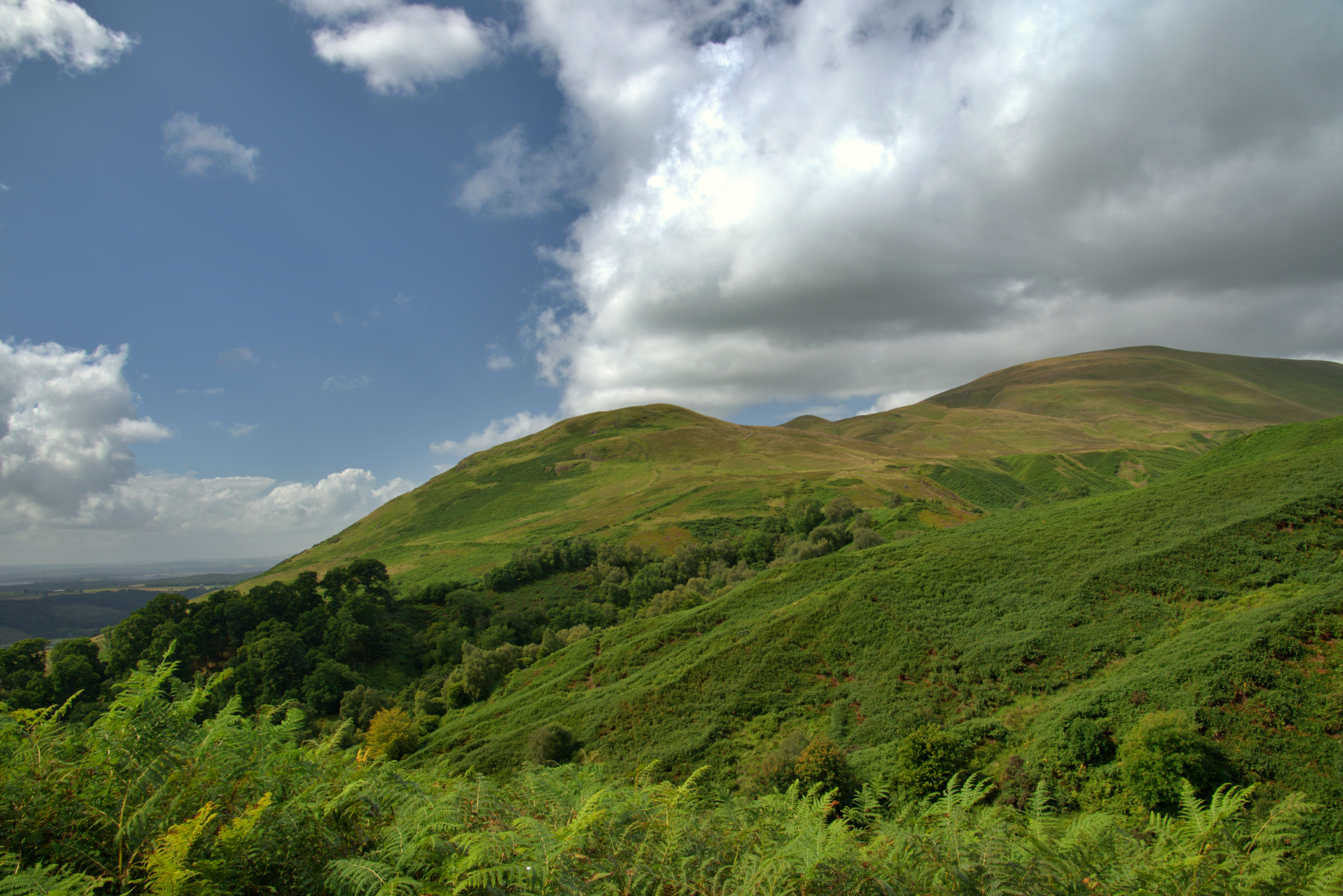 Ochil Hills in Dollar Glen, Scotland