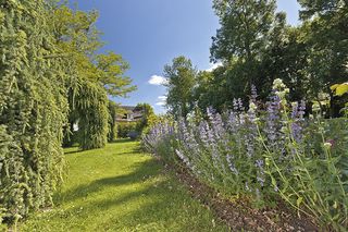 The Gardens of Eyrignac as photographed by Alessio Mei