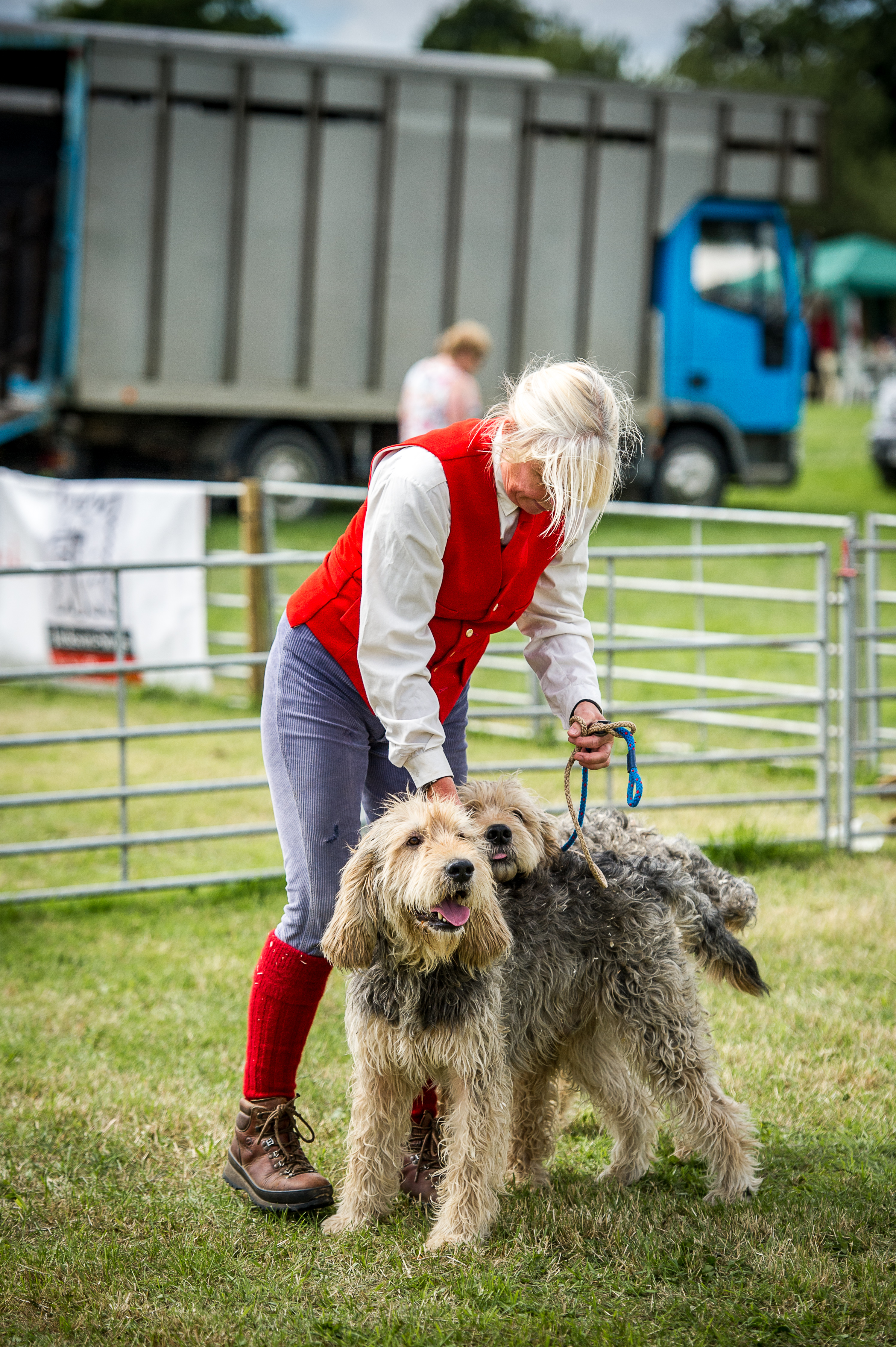 West of England Hound Show 2016 Honiton &mdash; The Pembrokeshire and Carmarthenshire were one of three packs competing in the minkhound classes