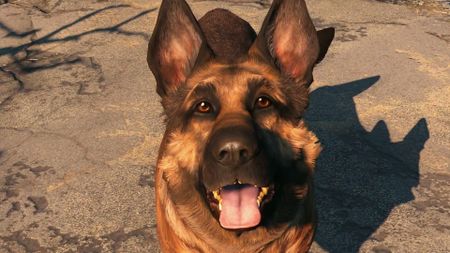 Dogmeat