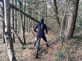 A Somerset mountain bike trail is blocked by a fallen tree