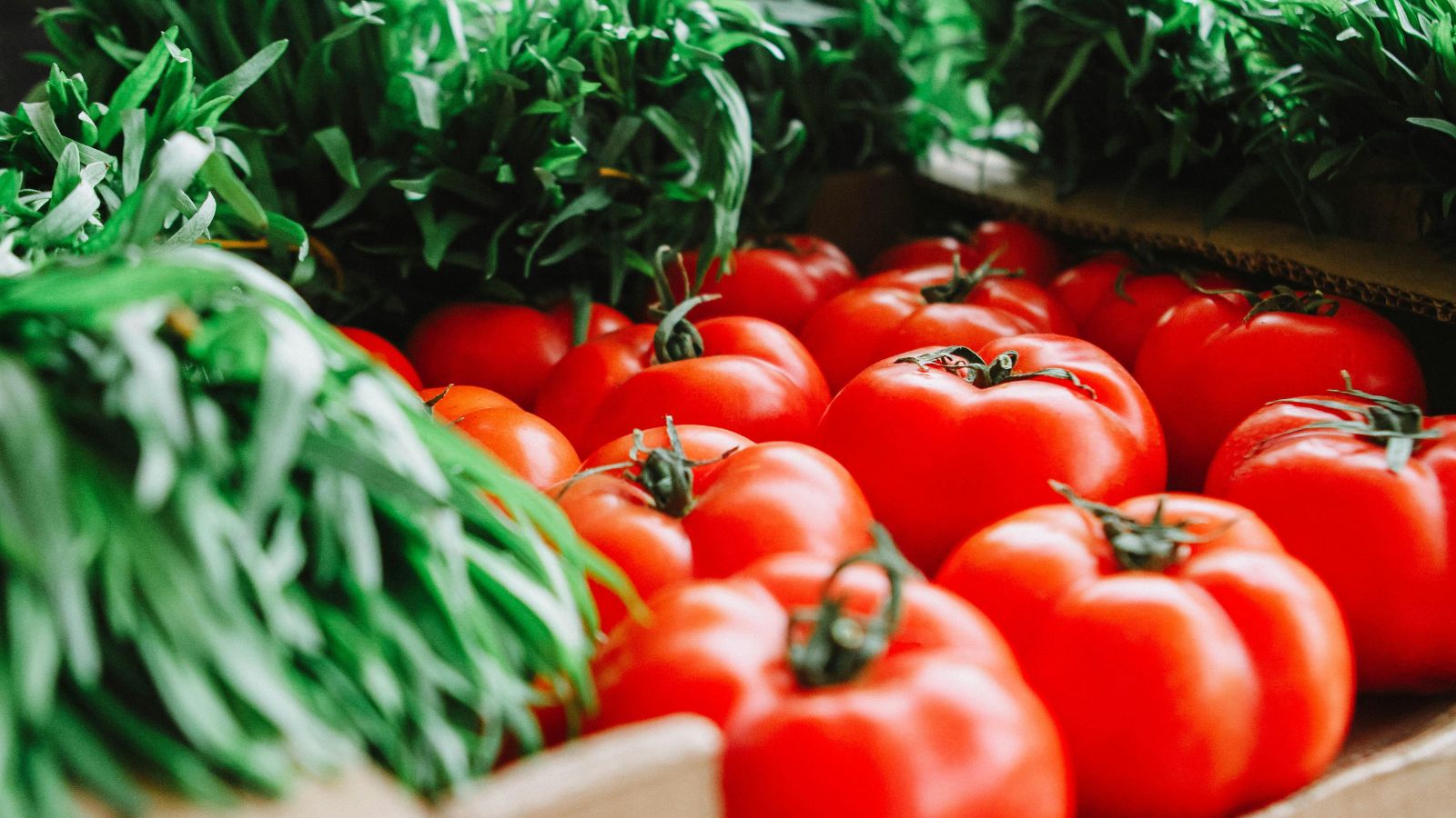 Heirloom tomatoes and chives at a farmers market