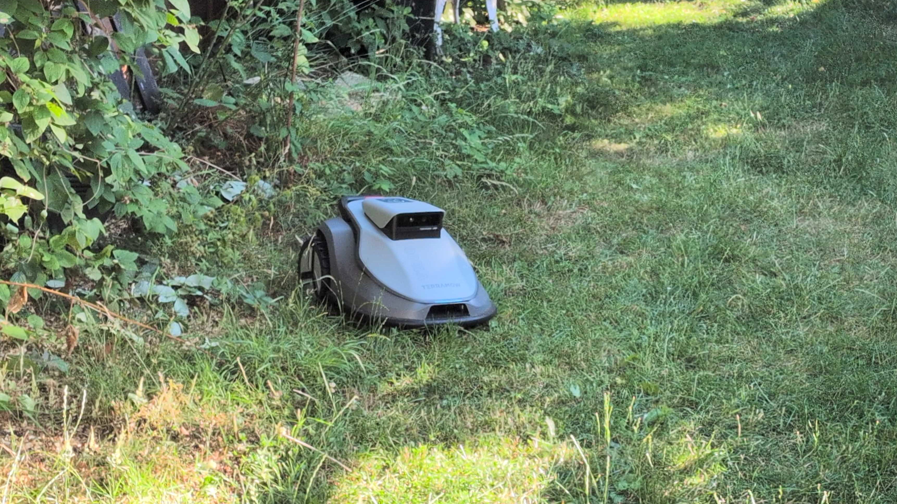 Terramow V1000 lawnmower in garden