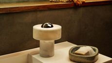 A marble table lamp on top of a toilet basin next to a soap tray and soap