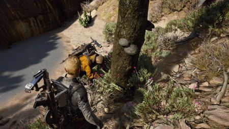 Mushrooms in Arc Raiders