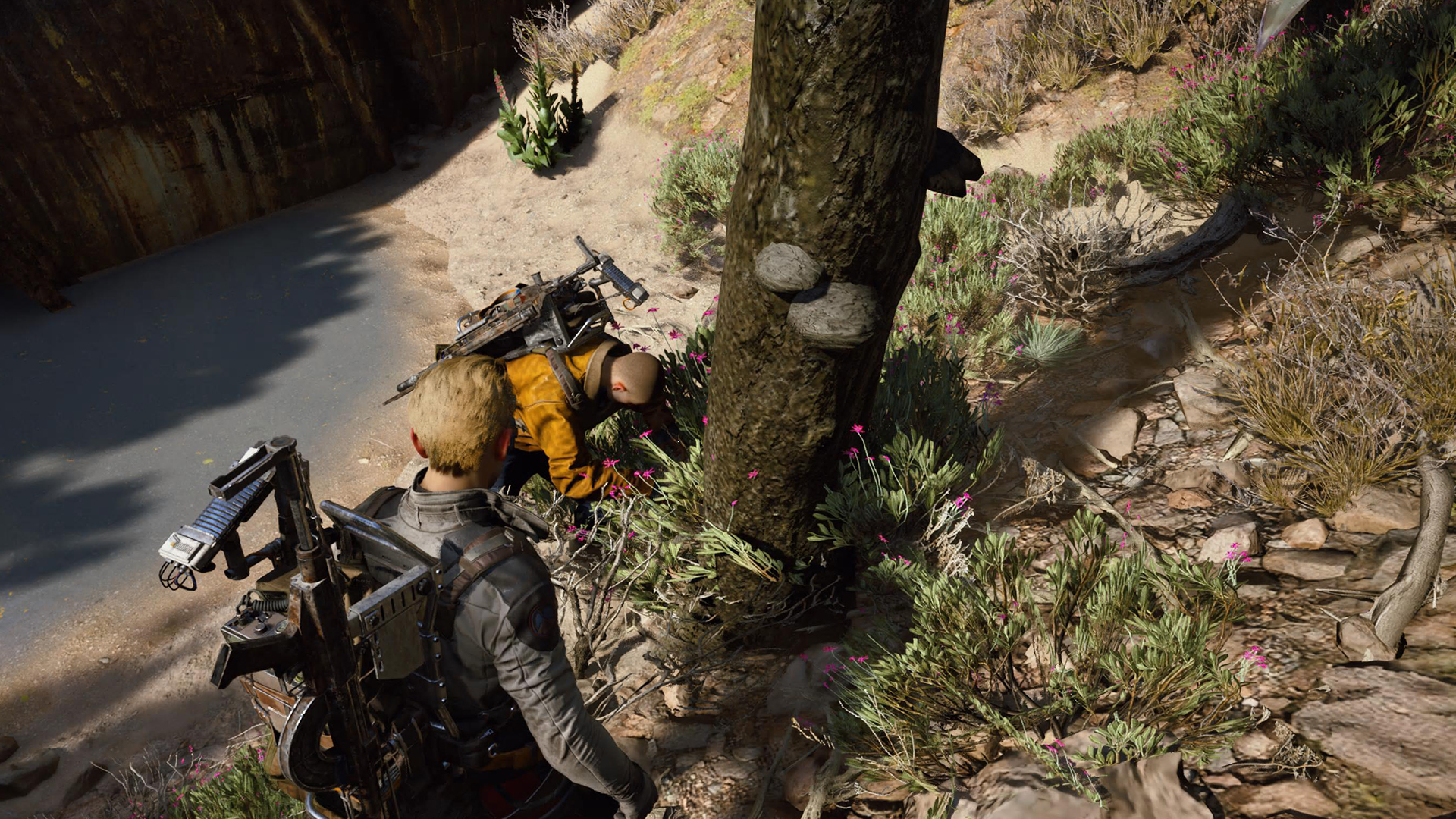 Mushrooms in Arc Raiders