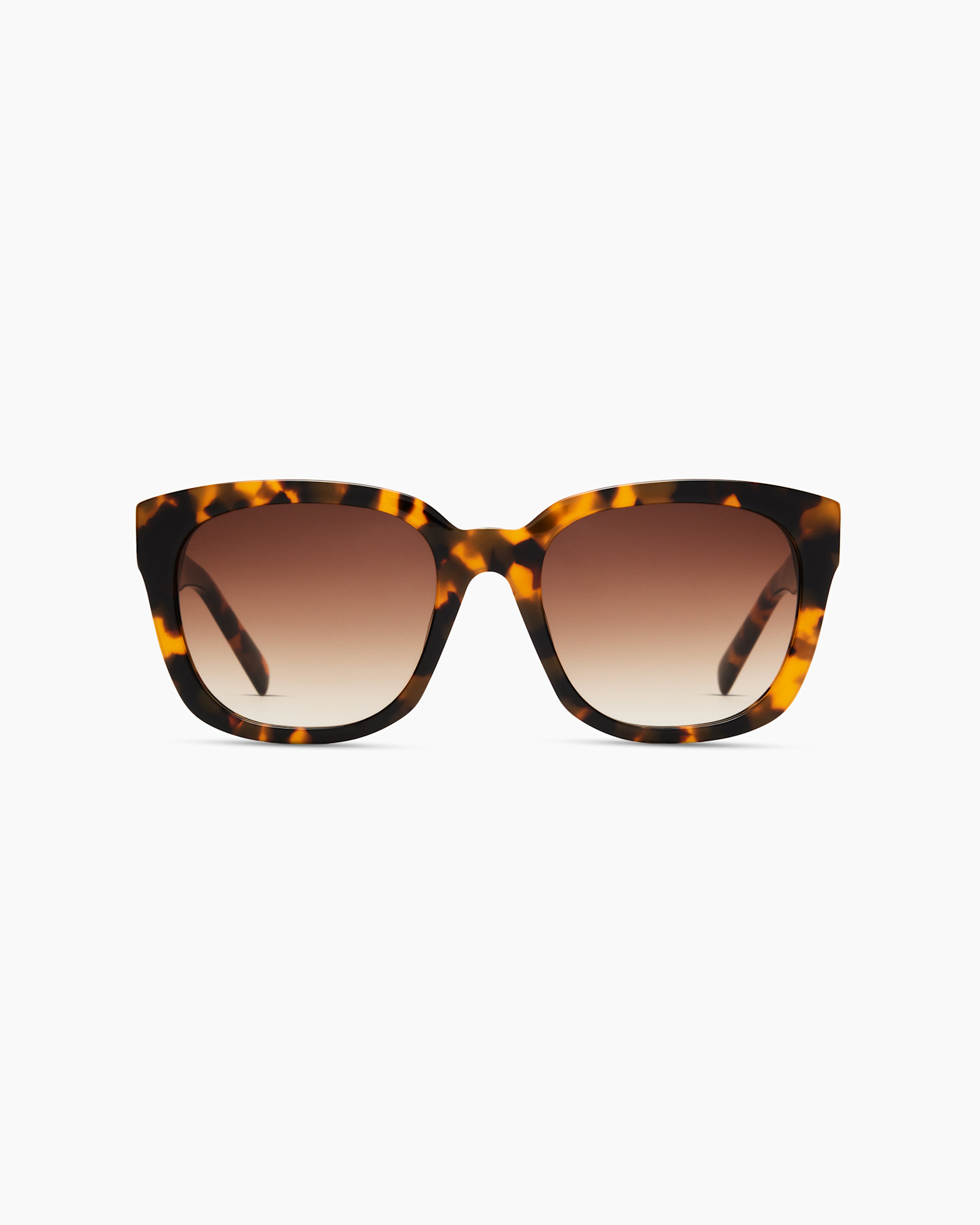 Quince Barcelona Sunglasses