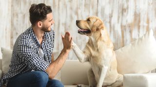 man and dog high fiving