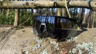 Adidas Sport SP0095 sunglasses sitting on a tree branch