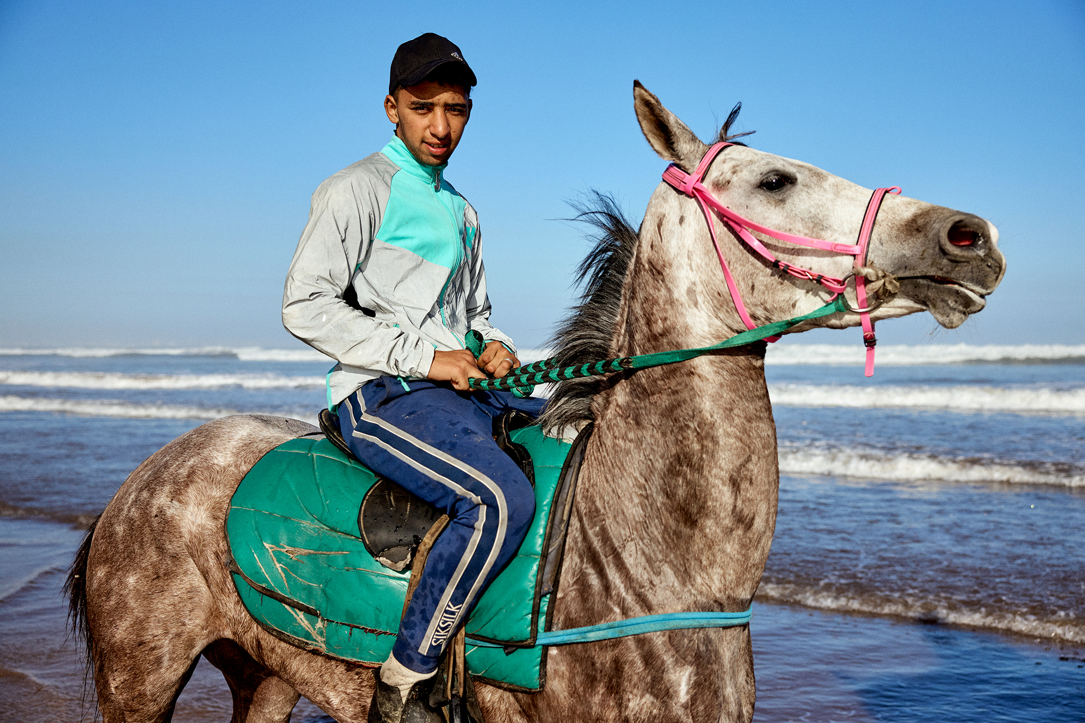 A rider on a gray horse stands by the beach, with gentle waves and a clear blue sky in the background, showcasing a serene coastal scene