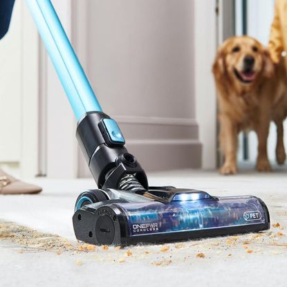 A woman using a cordless vacuum cleaner on a carpet in a hallway watched by a dog