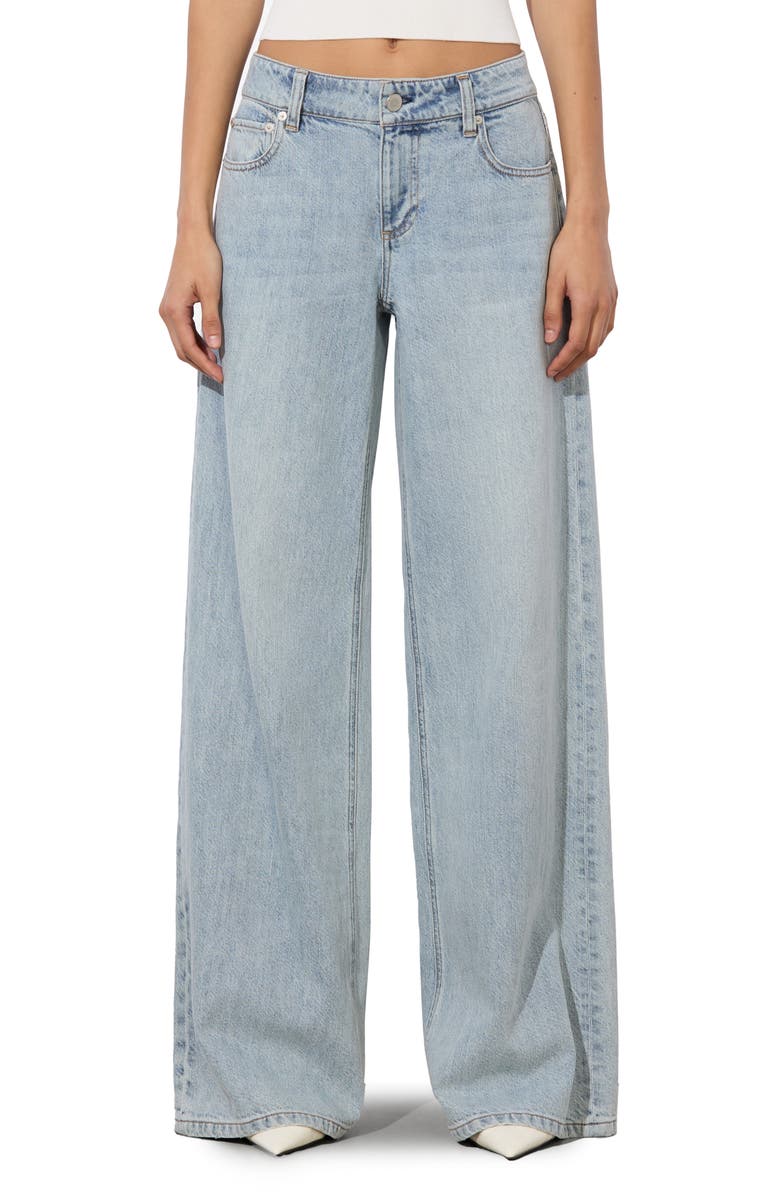 Trish Low Rise Baggy Jeans