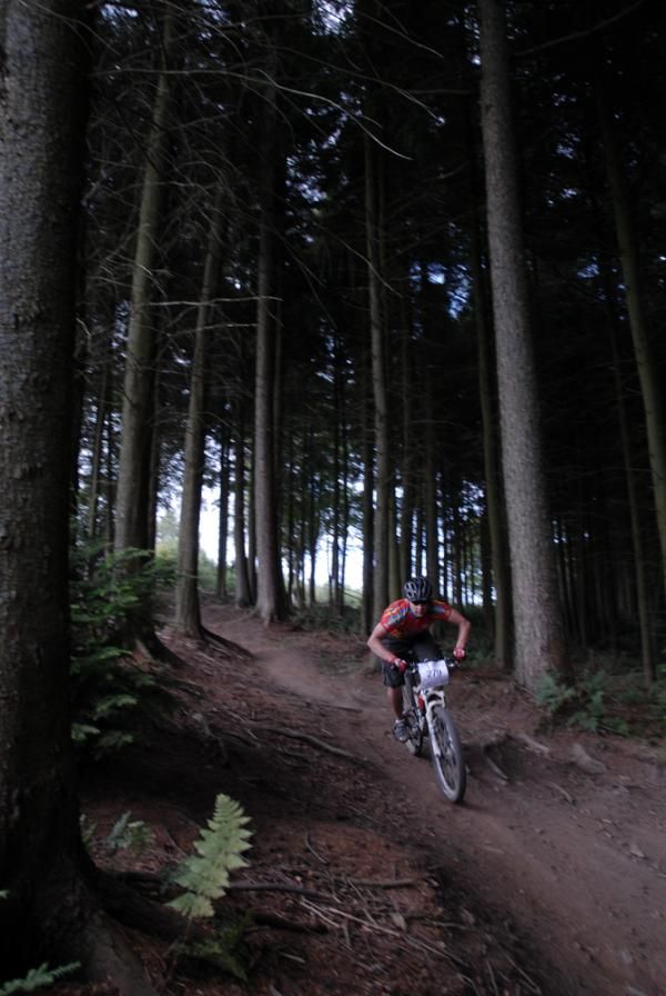 The first section of the special stage was fast, pumpy and a helluva lot of fun.