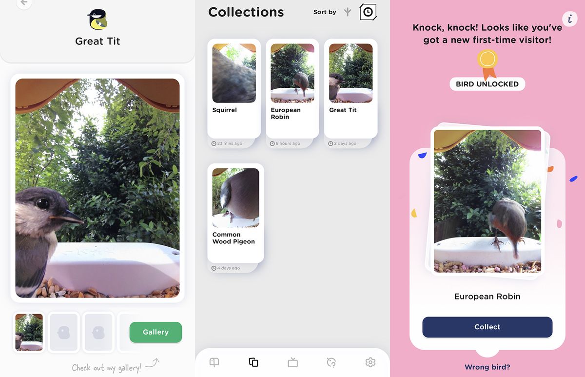 Bird Buddy Bird Feeder camera app screenshots