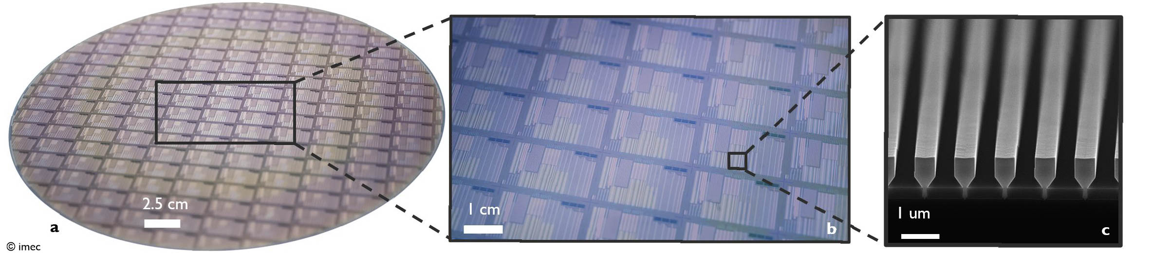 A 300 mm silicon wafer containing thousands of GaAs devices with a close-up of multiple dies and a scanning electron micrograph of a GaAs nano-ridge array after epitaxy