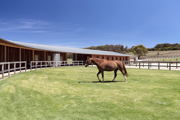 4.Merricks_Stables_0832