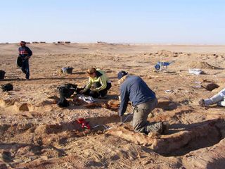 excavations of Kellis 2 cemetery in Egypt.