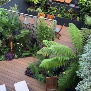 composite decking in outdoor area with lots of green plants