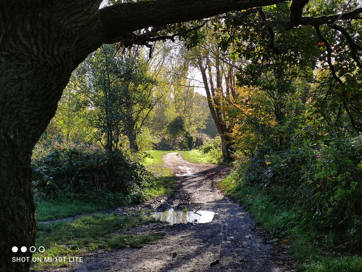 Xiaomi Mi 10T Lite camera sample
