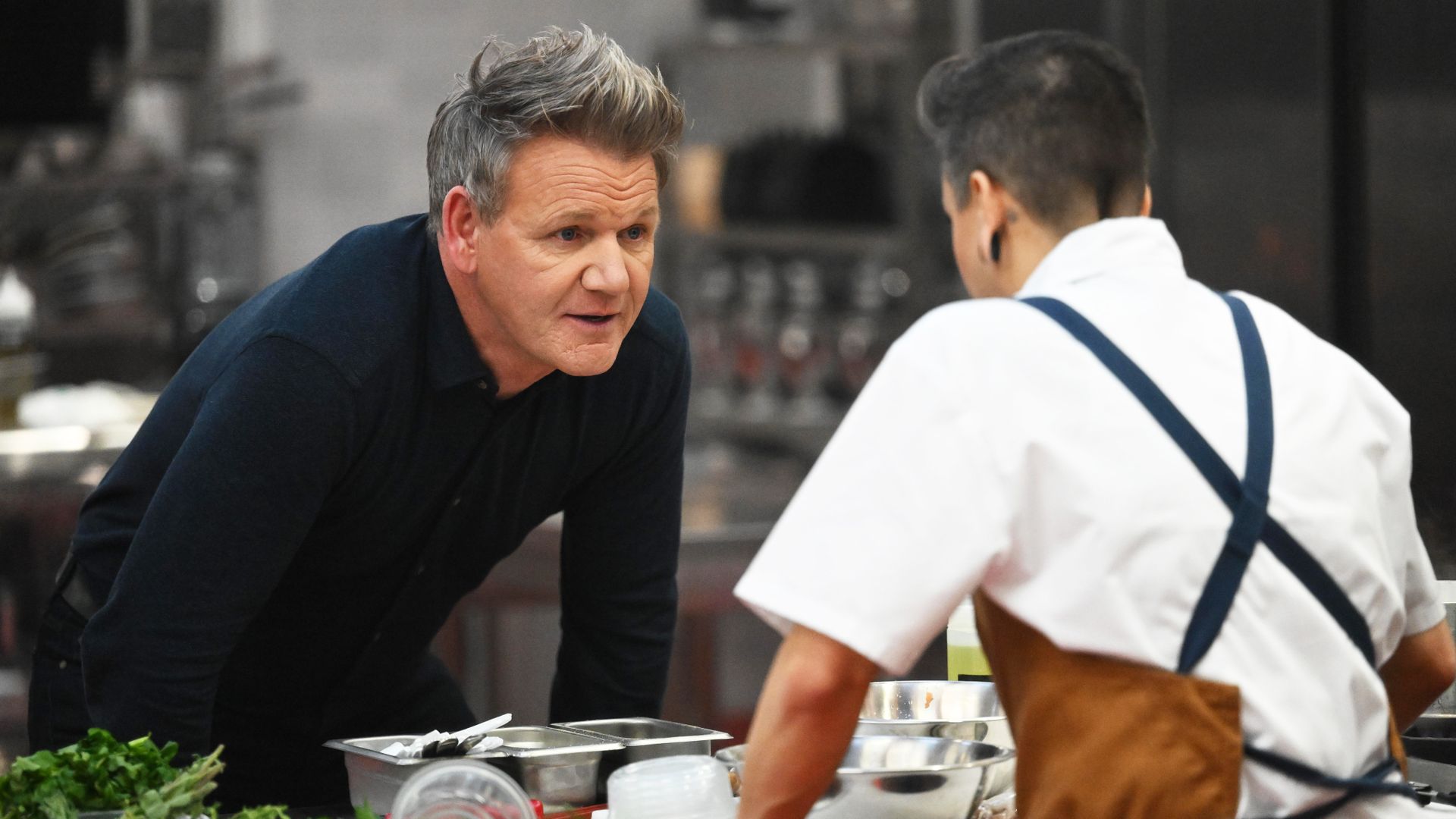 Gordon Ramsay & animation dominate Fox fall TV schedule What to Watch