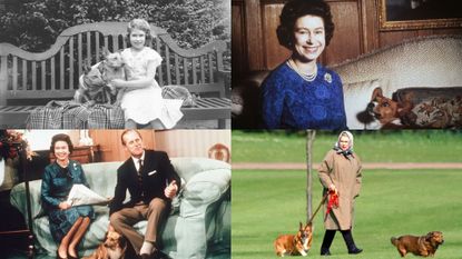 Queen's corgis over the years revealed