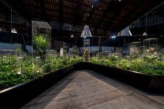 The Italian pavilion talks about resilient communities in every way, including an installation on gardens and planting, seen here