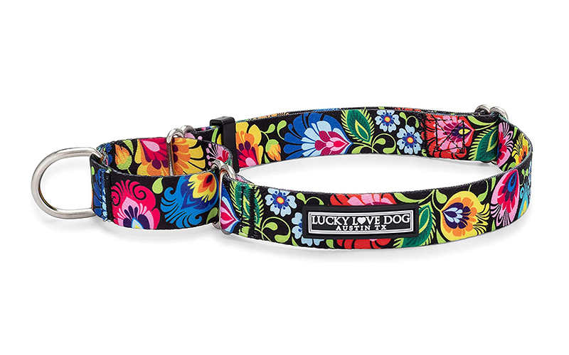 Lucky Love Dog Martingale Collar