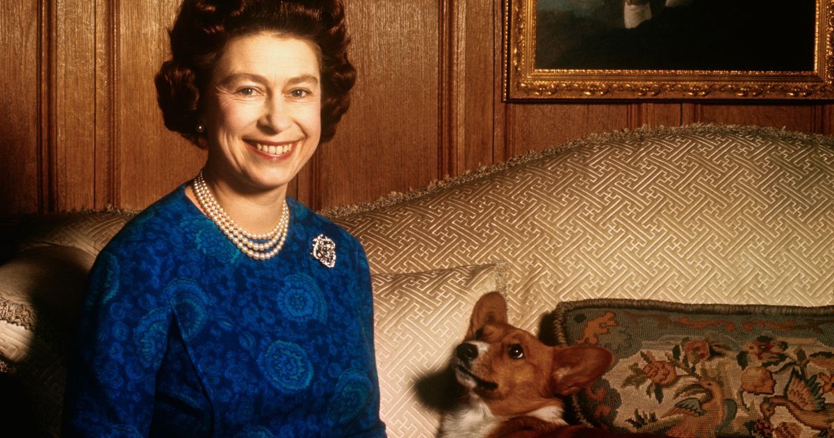 La reine a écrit aux chiens des membres de son personnel royal des lettres hilarantes de la part de ses corgis