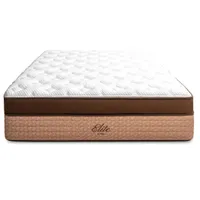 Helix Plus Elite $2,498.75 $1,749.13 at Helix Sleep