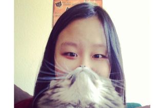 Cat beards