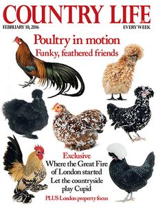 Country Life February 10 2016