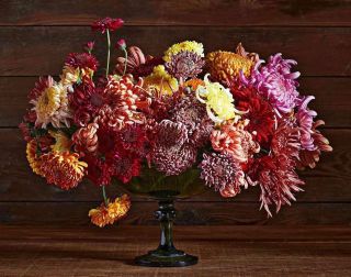 Chrsanthemums in a vase from Harmony Harvest Farm